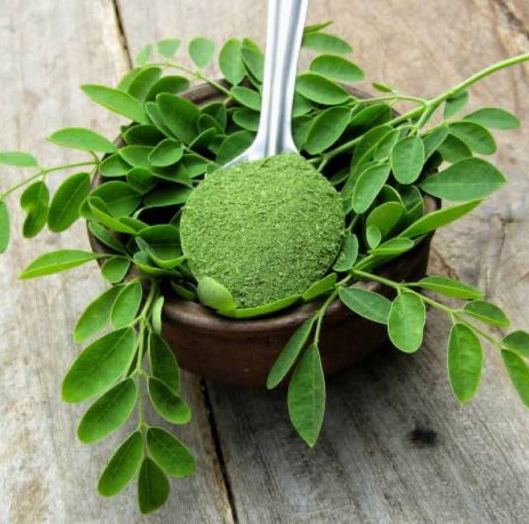 FB_IMG_1764310366391 Dawa ya kutoa sumu mwilini